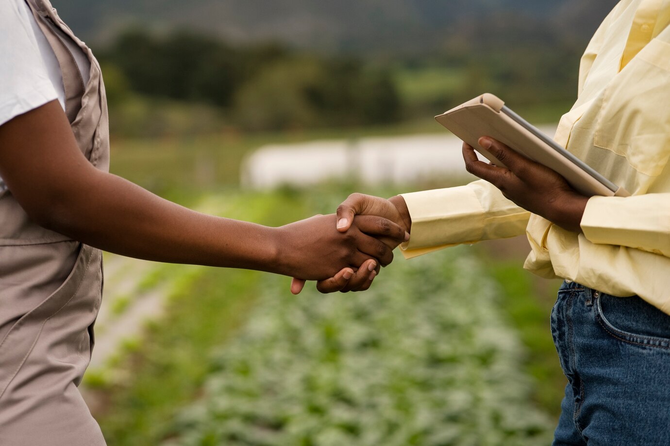 Terms and Conditions of Africa Green Harvest